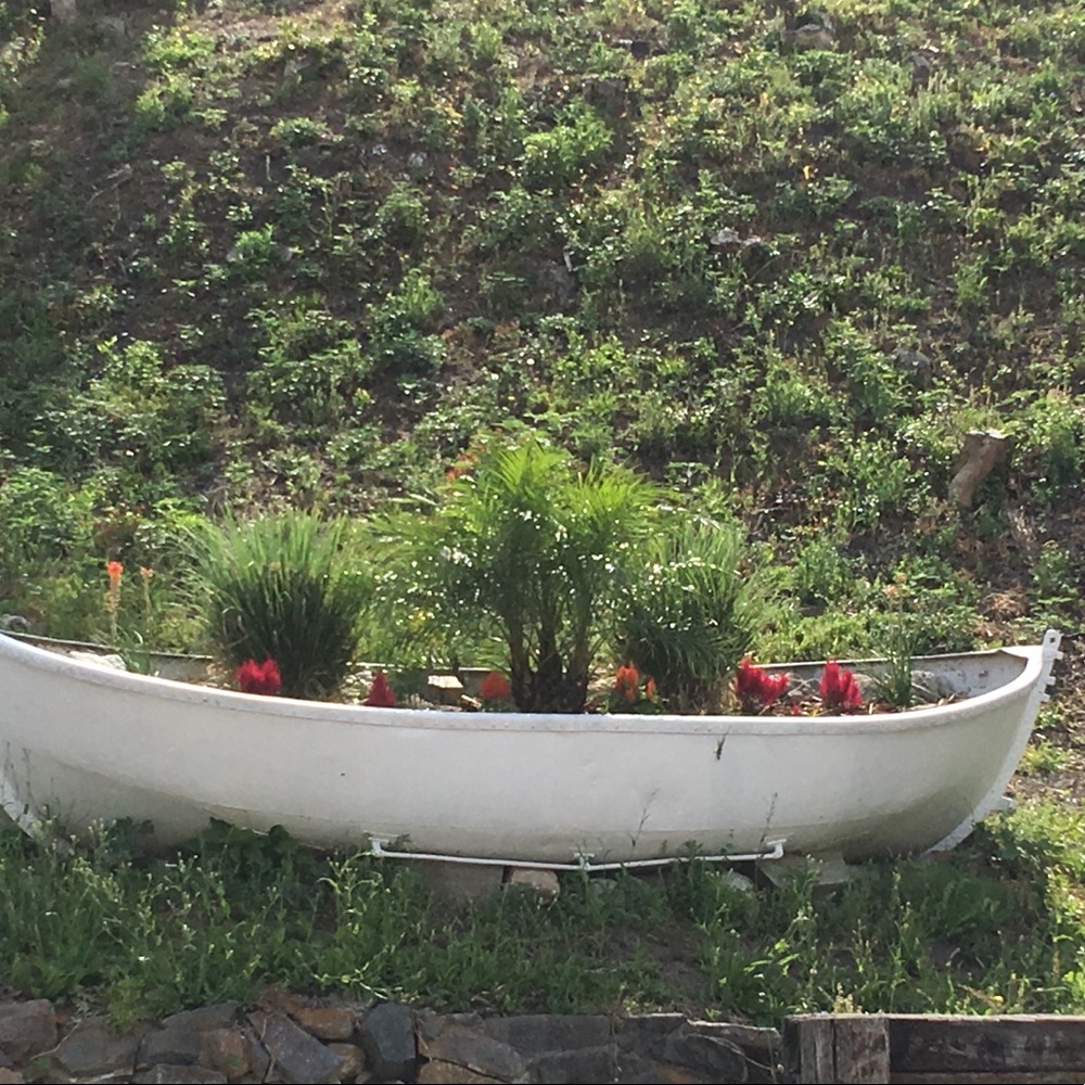 Meet your Posher, Katy